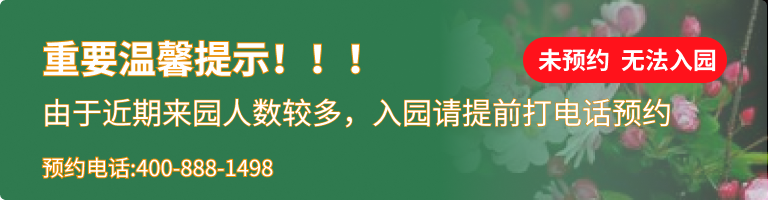 桃坞公墓